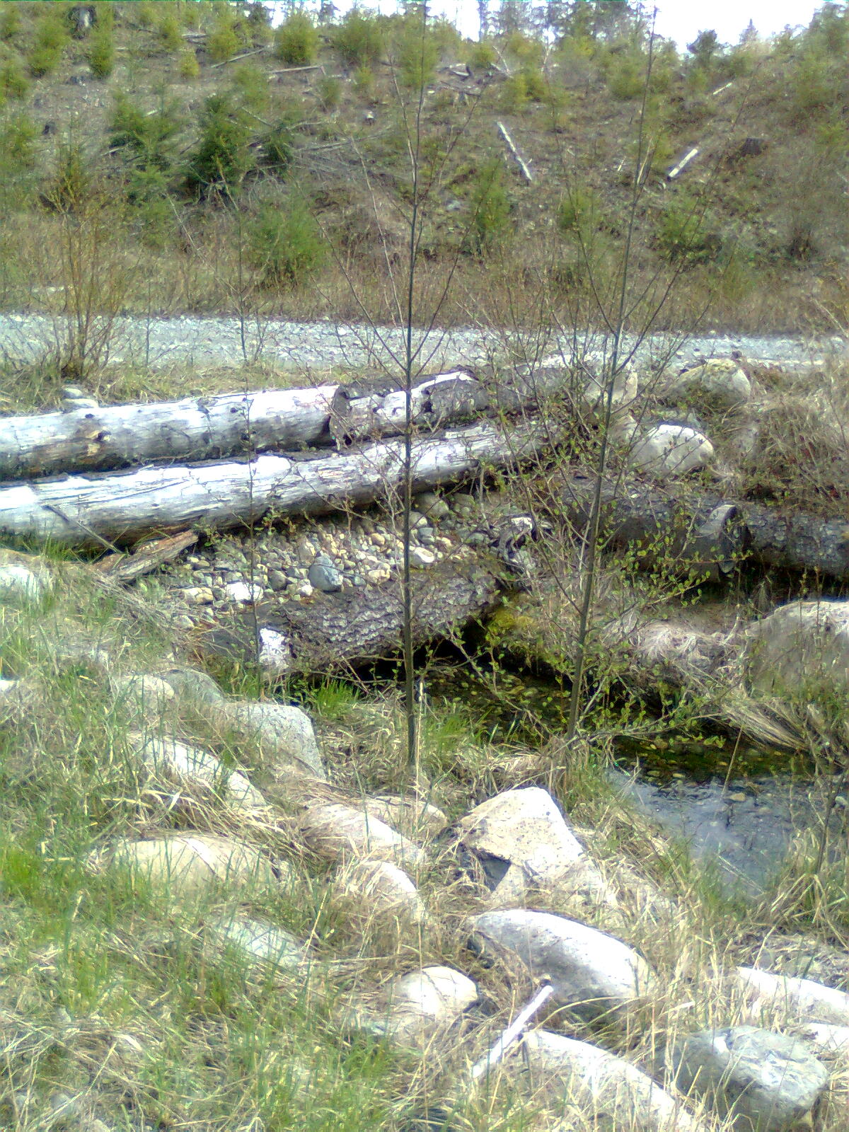 scouting the trails. Vancouver Island Off Road