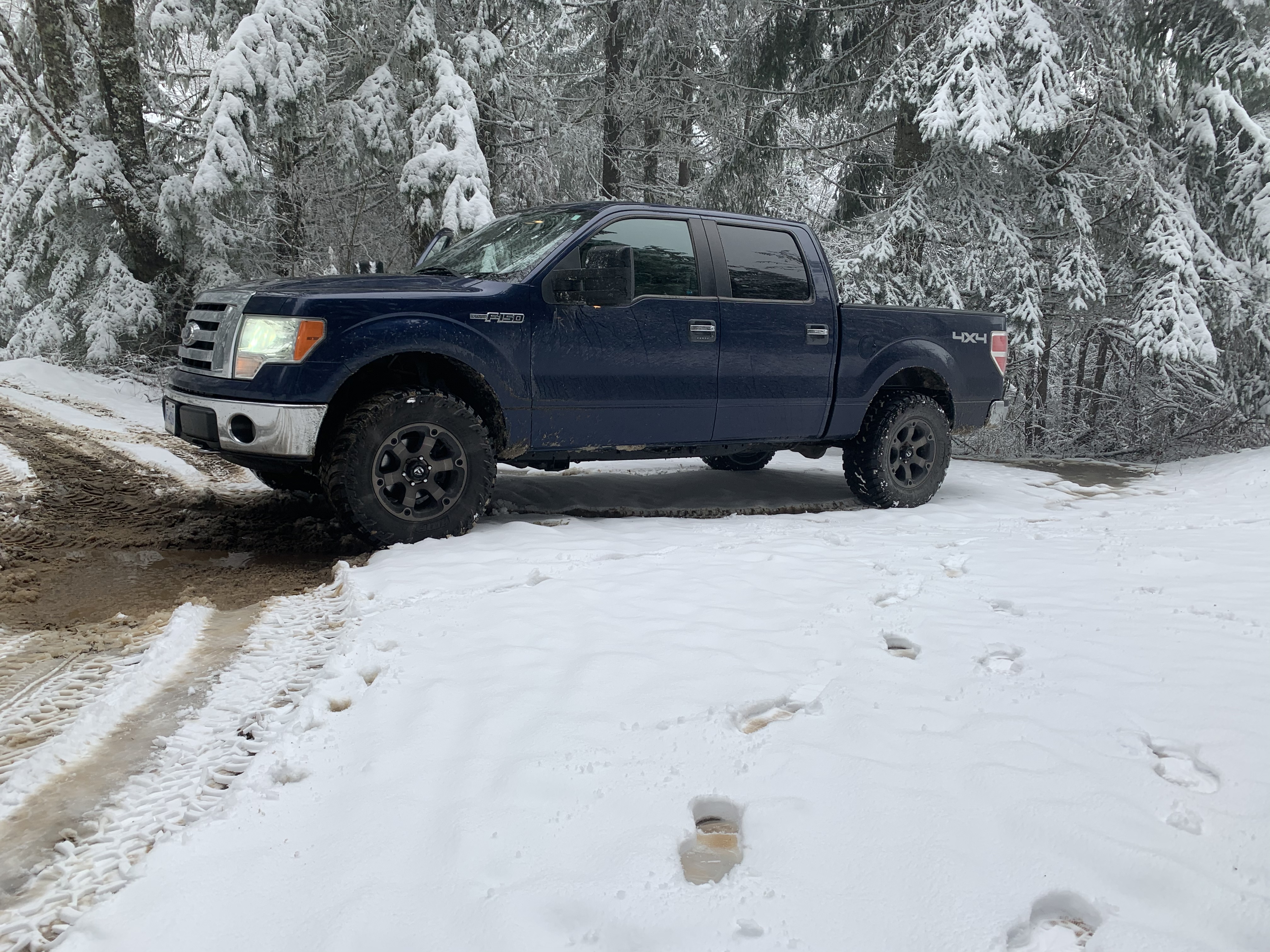 Looking for lakes and trails Vancouver Island Off Road