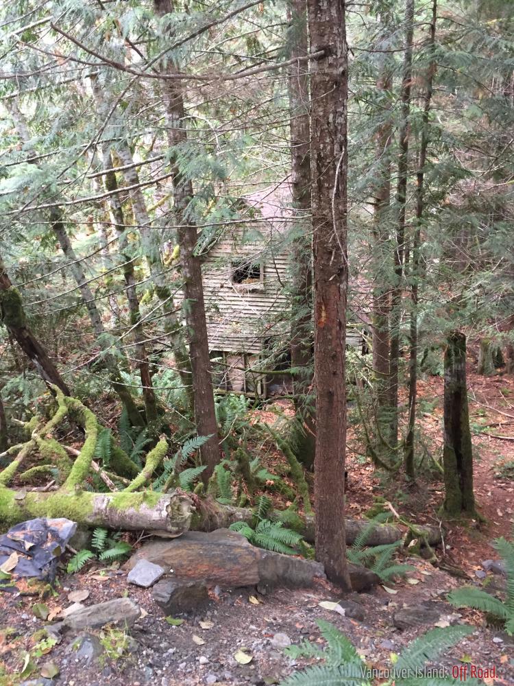 Vancouver Island Off Road Amp 4x4