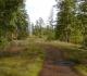 this is a harewood plain. wagon trails been here for 200 years. tread gently into the forest. dont leave the trail. dont spin ur tires.