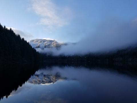 Francis lake fog