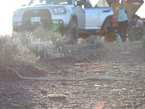 Trona Pinnacles, California5th gen 4Runner overlanding North America -St. George, Utah