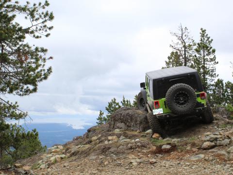 Mt Benson summit