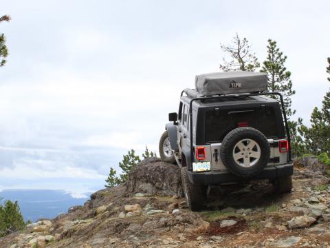 Mt Benson summit