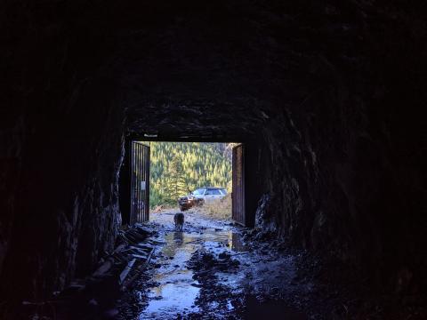 yellow creek mine Port Alberni