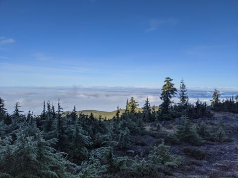 Mt Arrowsmith Vancouver Island BC mountain view