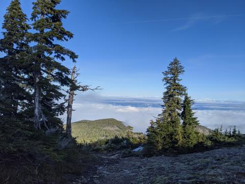 Mt Arrowsmith Vancouver Island BC mountain view