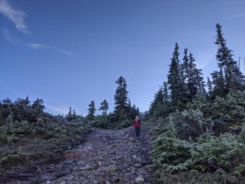 Mt Arrowsmith Vancouver Island BC mountain view