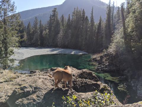 Nahmint Valley