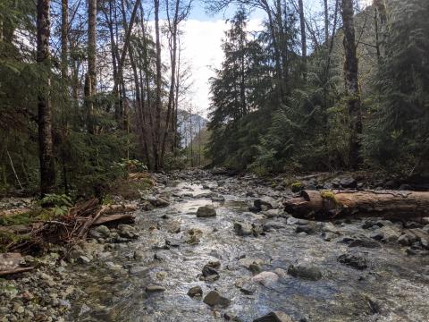 River near Virgin Falls