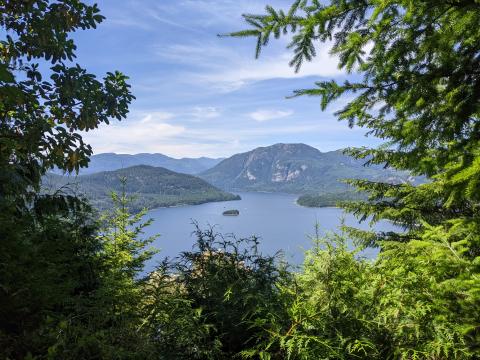 Overlooking Horne lake