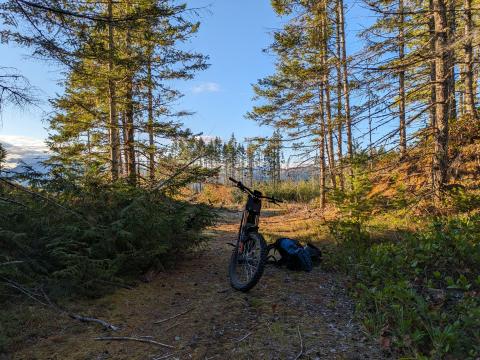 Surron riding Alberni Valley