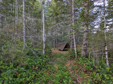 Surron hammock tent camping