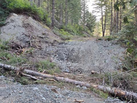 Washout crossing