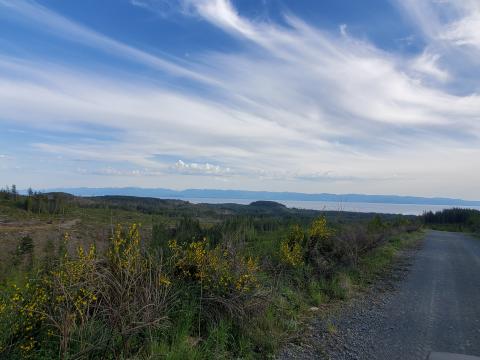 Tugwell Main looking south