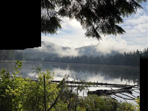 Sayward lake