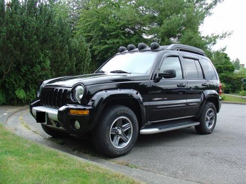 2003 Jeep Liberty Running Boards, Roof Basket, Head Rest, Light Covers 