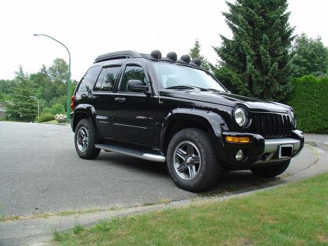 2003 Jeep Liberty Running Boards, Roof Basket, Head Rest, Light Covers 