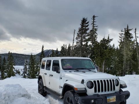 Back in the Jeep world...