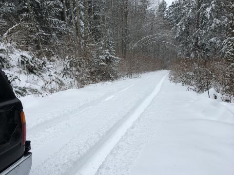 Snow wheelin 