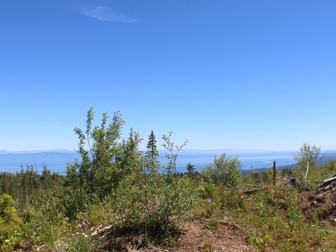 Looking towards Vancouver