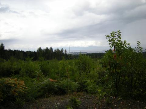 lookin from lovers lane   just below the abyss trail and the new powerlines. top of 15th street