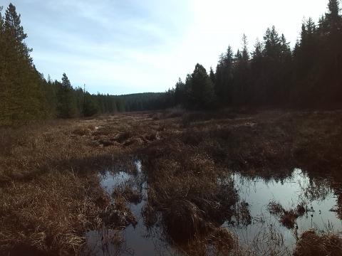 lucid meadows, not frozen. im amazed at how big it is.  the roads straight down the midlle