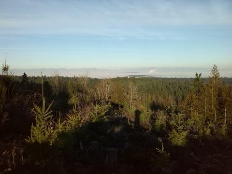 rivers of fog on the salish sea. looking at nanimo .