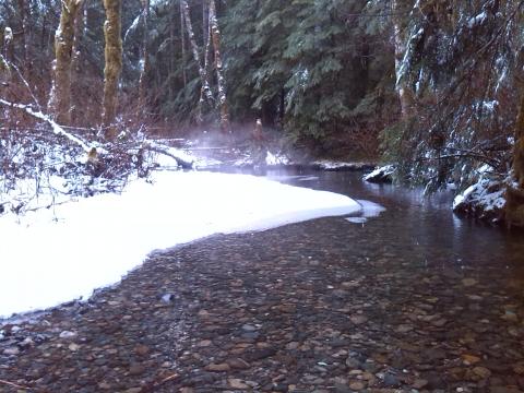 nice melting scene. we had to drive through the creek