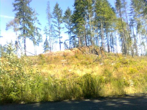 last of the trans canada trail ridge at whiskey lake. 