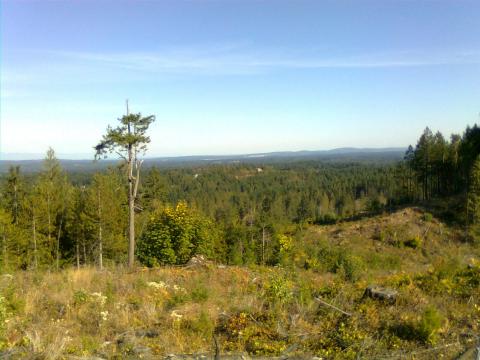 the next ridge west from extention town looking east. 