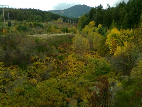 looking at the beginning of the abyss trails from inside extension park