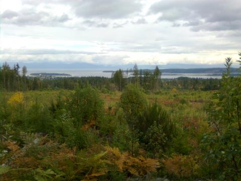 looking at nanaimo 