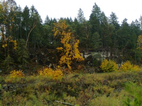 a wee ridge by blind lake. pretty in fall