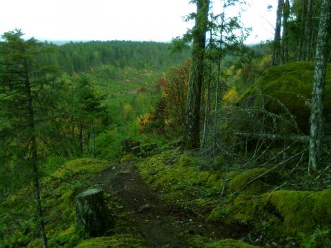 the abyss hikin bikin trail