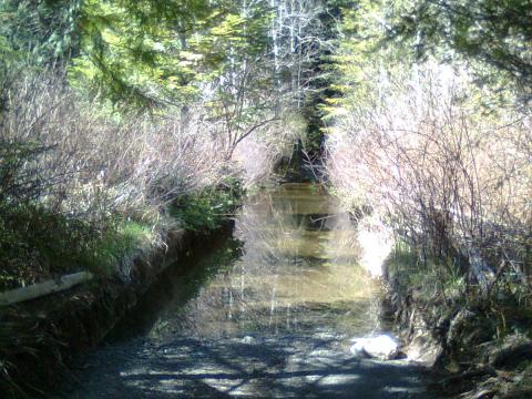 down water from the beaver dams by nanaimos first lake. ull be amazed where a fwd can go. 