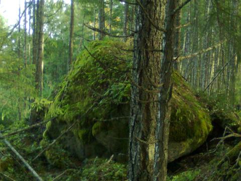 glacial boulder on the edge of a ridge. earthquakes my ass. its been here for 20 000 years