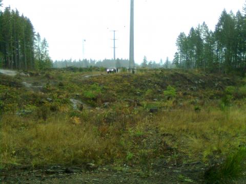 what monuments we build. i guess if we still had first groth they wouldbt seem as big. breakin into the grid to feed the new south nanaimo city. all the north end fools. :) have u not been to the south end? 