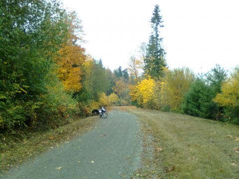 pipiline trail head on the water pipeline looking north. 1 km south of whiskey lake