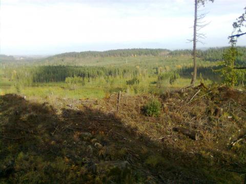 that is the abyss ridge.   looking north