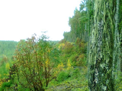 top of the big ridge. its pretty straight for atleast a km.