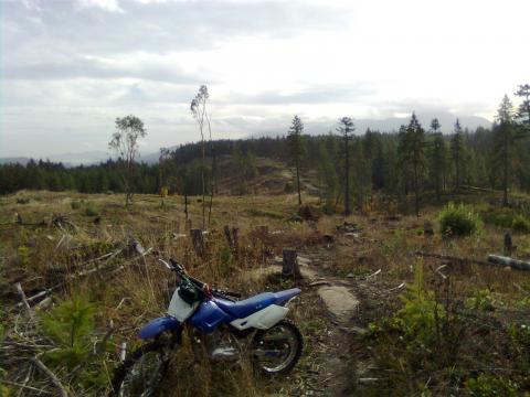 whiskey lake ridge just up from the lake. on the transcanada trail