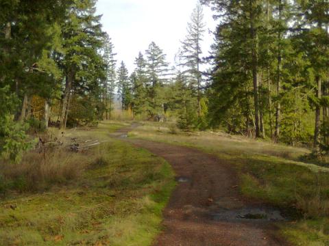 this is a harewood plain. wagon trails been here for 200 years. tread gently into the forest. dont leave the trail. dont spin ur tires.