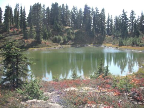 Sproat Lake Ridge