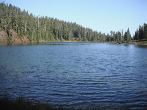 Sproat Lake Ridge