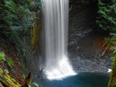 Amonite falls