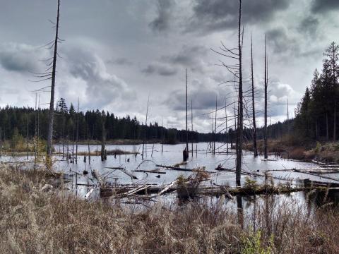 oliphant lake