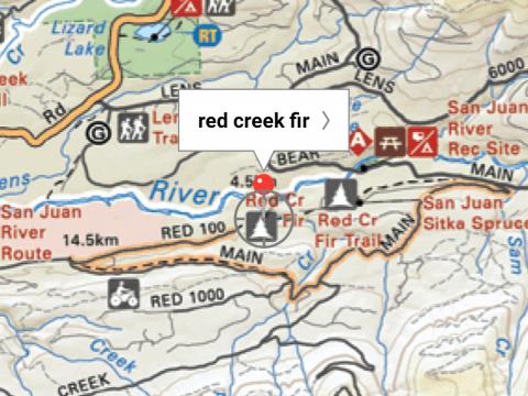 planning a trip to the red creek fir