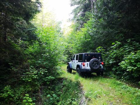 Adventures with the Jeep ZJ (with LOTS of Pics!)