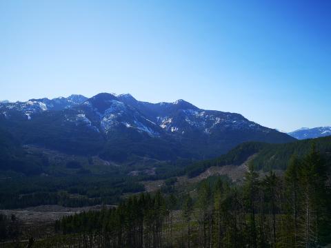 Some Pictures